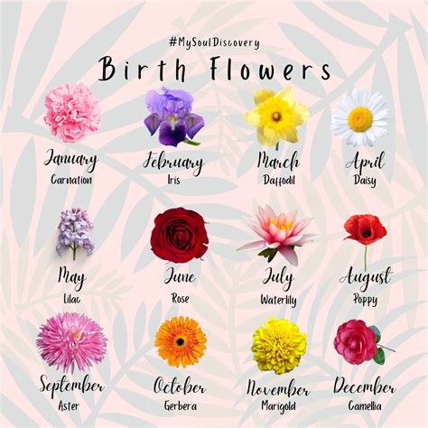 Birth flowers by month and meaning flowersandflowerthings – Artofit