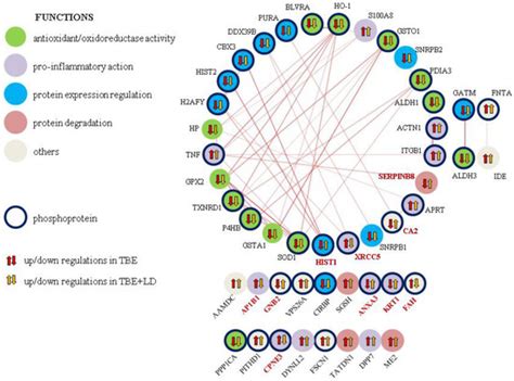 Plasma Proteomic Profile of Patients with Tick-Borne Encephalitis and ...