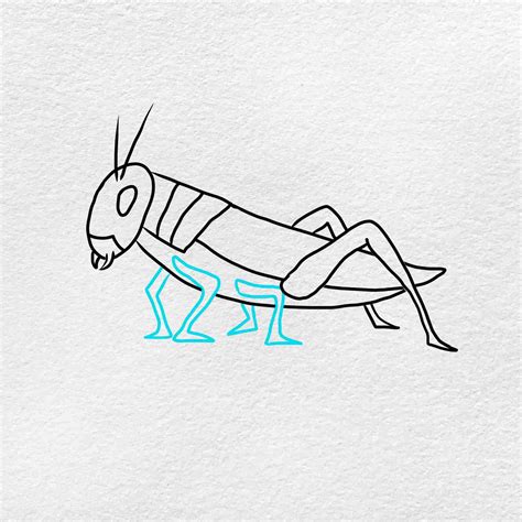 How To Draw Grasshopper Easy