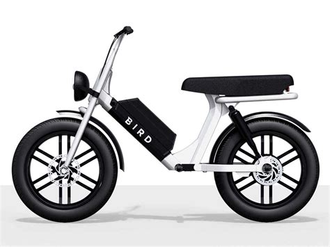 Bird Cruiser—A New Urban Micro-Mobility Solution | Cycle Volta