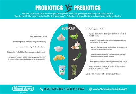 Difference Between Probiotic And Prebiotic