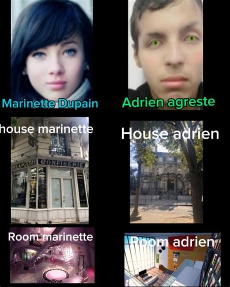 Image result for Real Ladybug