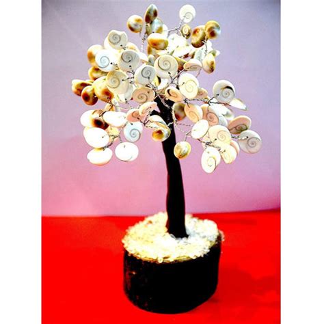 Gomti Chakra Tree – Divine Origin India