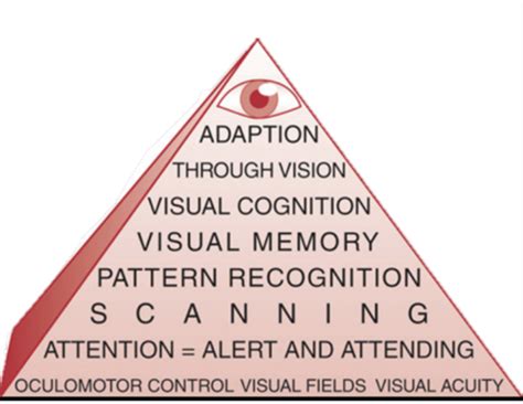 Visual Processing vs Visual Perception 的图像结果