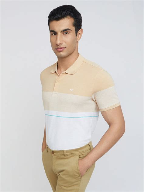 Park Avenue Men Fawn Slim Fit Stripe Round Neck Collar T-Shirt – MyRaymond