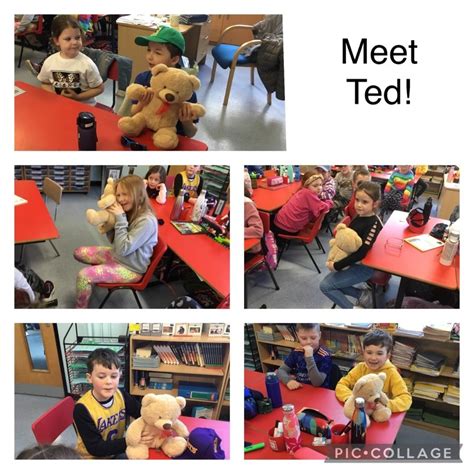 Image result for Bear Program