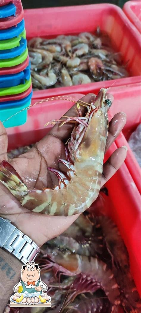 Amma Fish Stall, Chennai - Restaurant menu, prices and reviews