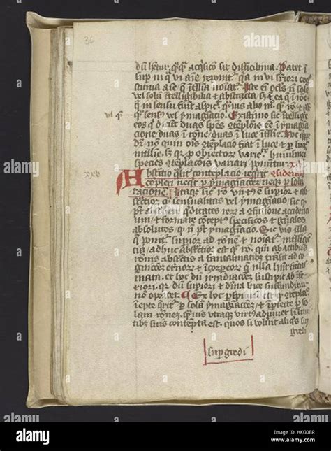 Race Codex Script 的图像结果