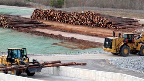 Roseburg Ramping up Sawmill - Forestnet