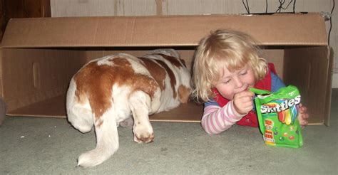 Meet Our Madcap 5-Child Plus Hound Family
