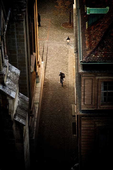 Rose Briar on Tumblr