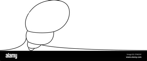 Image result for Open Sea Shell Line Drawing