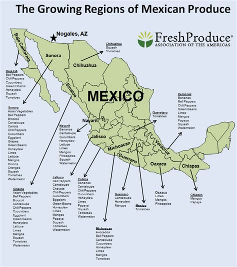 Mexico: Protected Agriculture and Farm Labor - Rural Migration Blog | Migration Dialogue