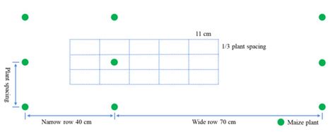 Root Characteristics for Maize with the Highest Grain Yield Potential ...
