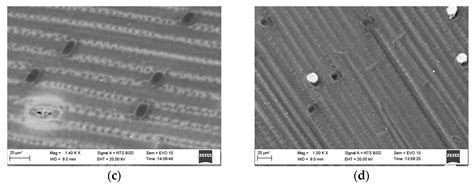 Surface-Modified Wheat Straw for the Production of Cement-Free ...