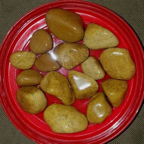 Pebbles - Multicolor / Single Pebbles Trader - Retailer from Pune