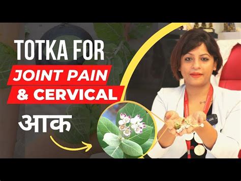 Herbal Flowers - Akarkara Irani - Jambu Phool - Spilanthes Acmella ...