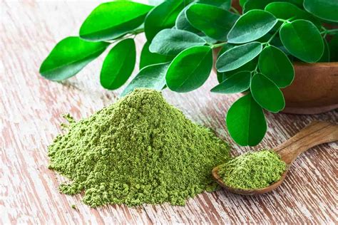 daun kelor manfaatnya buat apa