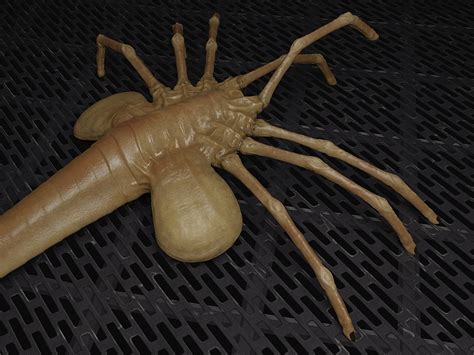 Alien Earth Facehuggers 的图像结果