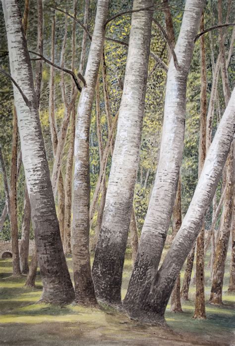 Image result for One Root Many Trees