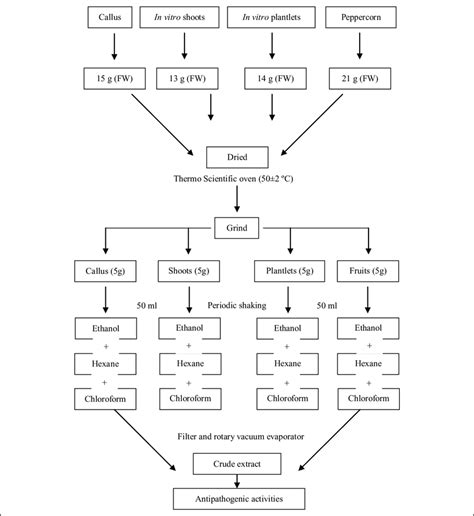 Image result for How to Analyse Extract