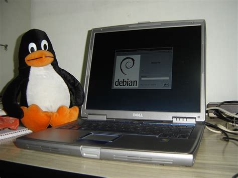 /installs/Debian Dell 510m