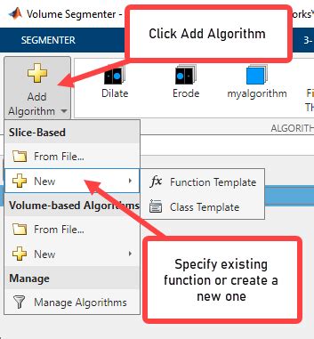 Image result for Volume Segmenter MATLAB Tutorial