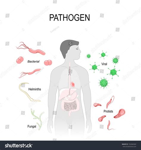 Image result for Different Types of Pathogens