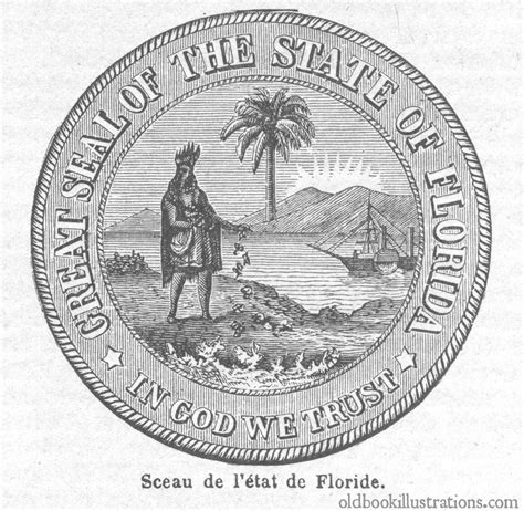 Florida Seal Coloring Pages [2025]