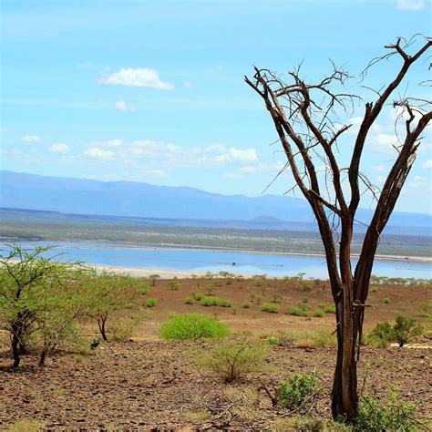 LAKE MAGADI CONSERVANCY (2026) All You Need to Know BEFORE You Go (with ...