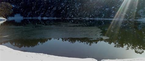 The Meadows Chopta|Best Camps Chopta|Enjoy a Great Resort & Camping