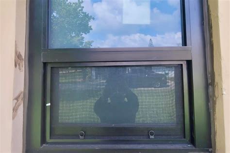 Image result for Impact Window Installation