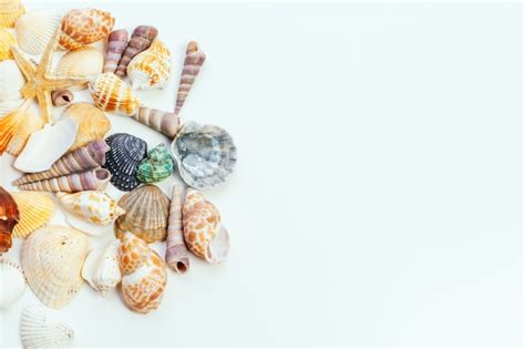 Image result for Isolated Shells
