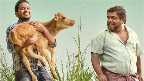 ‘I’ll react, I swear on my father, I’ll react’; Basil and friends to ...