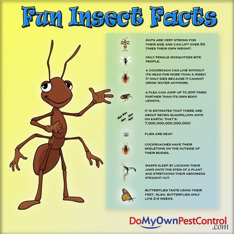 Quotes About Insects. QuotesGram
