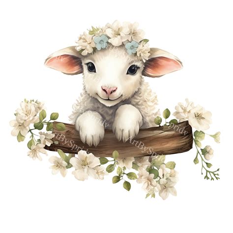 Clipart Lamb