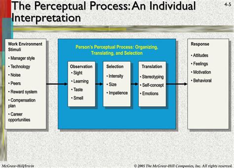 Image result for Understanding Perceptions
