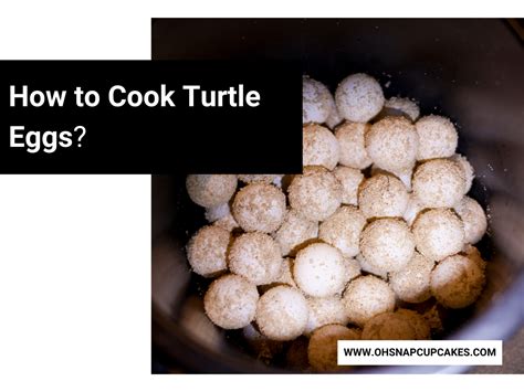Image result for How to Cook a Turtle