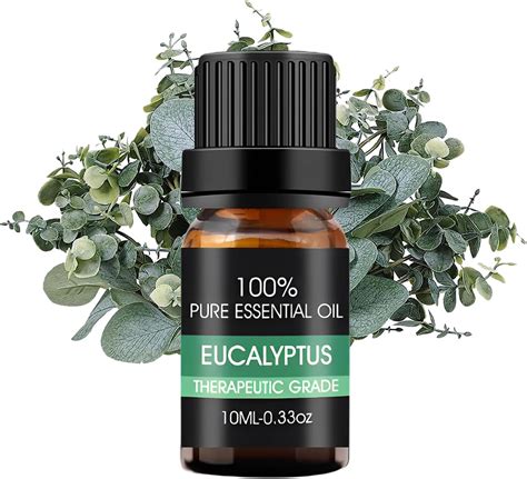 Amazon.com: Eucalyptus Essential Oils Organic, 10ML 100% Pure and ...