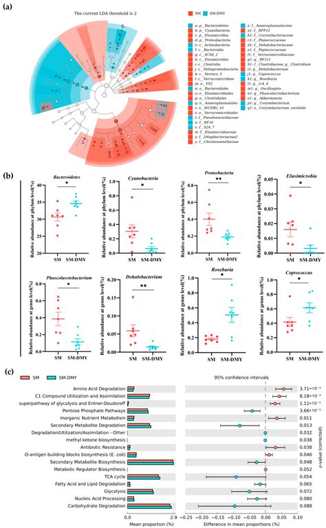 Investigating the Alleviating Effects of Dihydromyricetin on ...