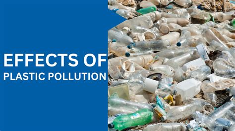 Effects Of Plastic Pollution