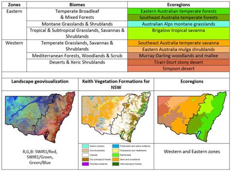 High Resolution Forest Masking for Seasonal Monitoring with a ...