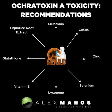 Ochratoxin A Toxicity: Antioxidants To The Rescue!!