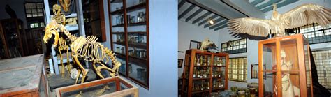 Alagappa Government Arts College Karaikudi