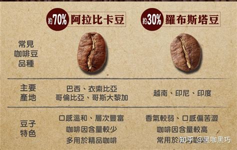 【咖啡豆选购指南】听我的这些性价比的咖啡豆/粉可以入手的～～_咖啡_什么值得买