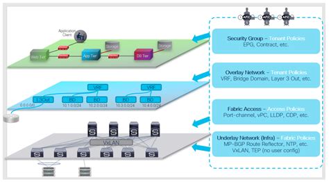 ACI Logic Model 的图像结果
