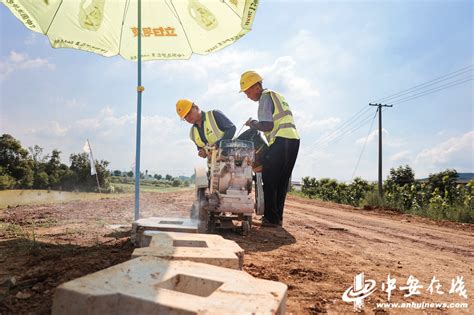 安徽省淮河流域重要行蓄洪区项目工程建设如火如荼_中安在线