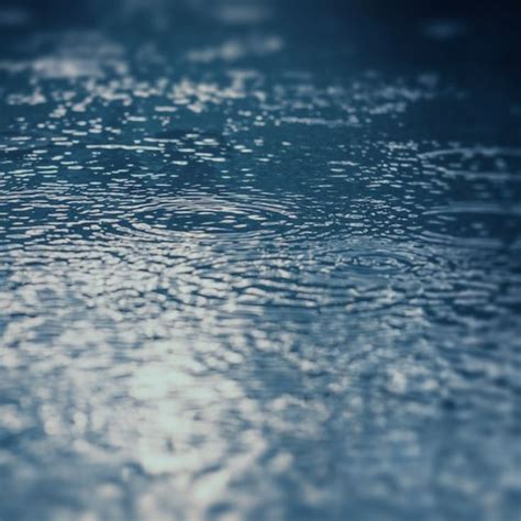 Crystal Raindrops Fall 的图像结果