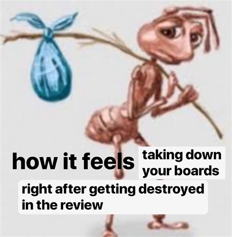 "how it feels" ant meme | Sad Ant With Bindle / Homeless Ant / How It ...