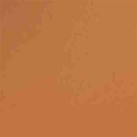 Plush Puddin' Intensive Recovery Lip Mask • Salted Caramel